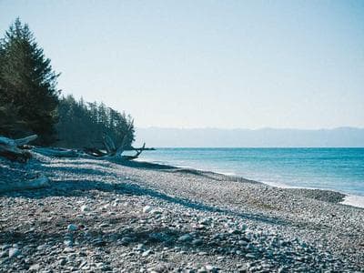 Beste Huisdier Speelgoed